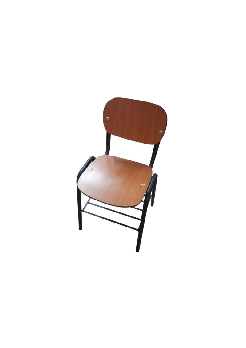 Silla Catedra Primaria